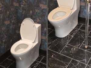 Home 18 Post-constructions-cleaning- toilet